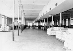 Tecla Sala